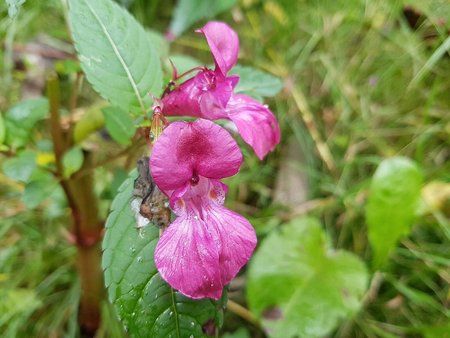 IMG-20160927-WA0008-01.jpeg