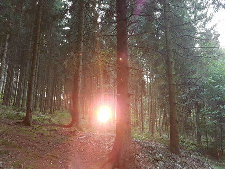 20160927_181350.jpg