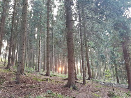 20160927_181327.jpg