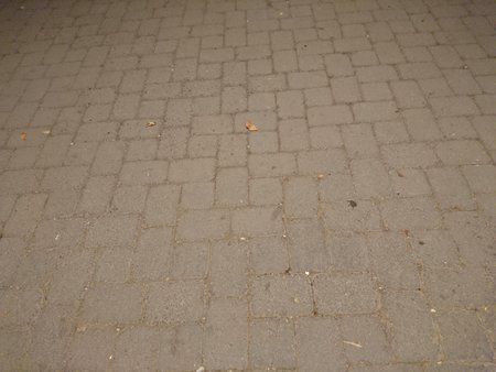 DSC_0127.JPG