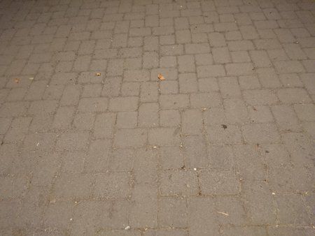 DSC_0126.JPG