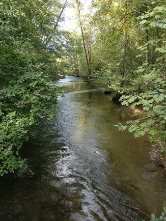 IMG_20161002_163402.jpg