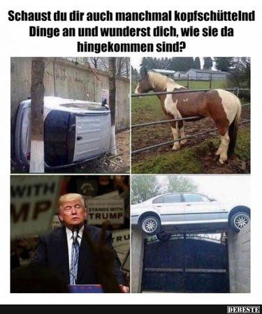 435d63bc967549fd7b2048b17edaa2711050.jpg