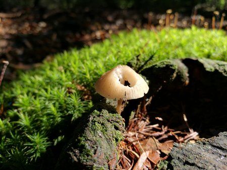 IMG_20161003_141328.jpg