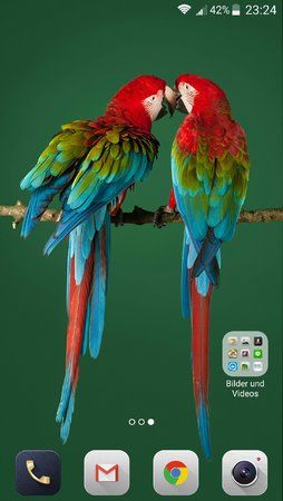 Screenshot_2016-09-30-23-24-08.jpg