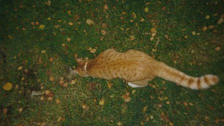 DSC_0009.JPG