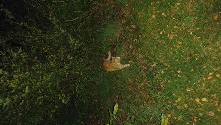 DSC_0012.JPG