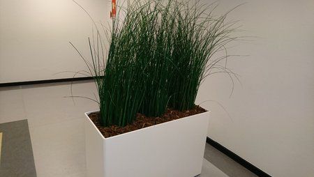 DSC_0023.JPG