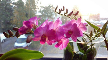 IMG_20161013_082638.jpg
