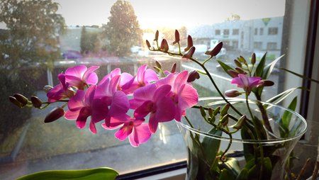 IMG_20161013_083753.jpg