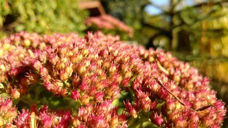 2016-10-16 14.53.49.jpg