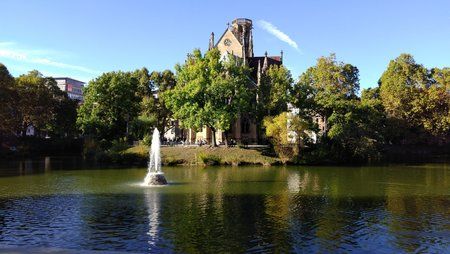 IMG_20161016_155532.jpg