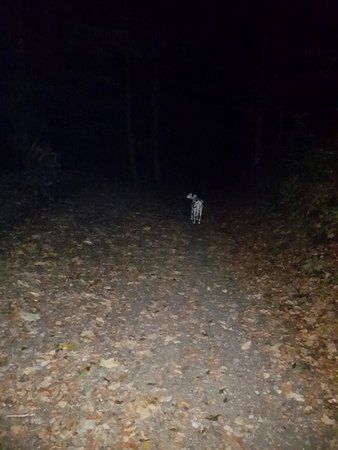 IMG-20161018-WA0000.jpg