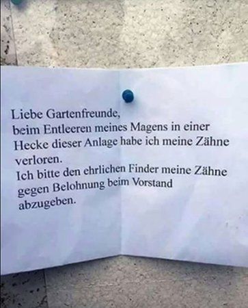 Zähne.jpg