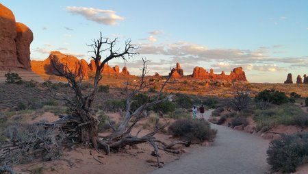 20160912_181119.jpg