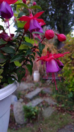 IMG_20161021_165346.jpg