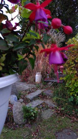 IMG_20161021_165247.jpg