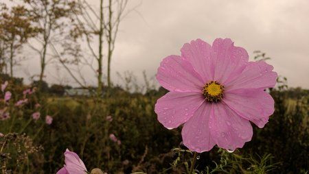 2016-10-21 14.48.46.jpg