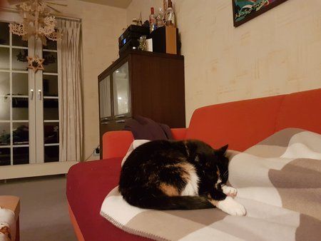 20161021_204522.jpg
