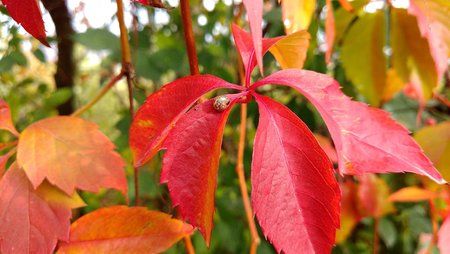 IMG_20161022_123136.jpg