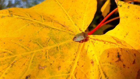 IMG_20161022_133605.jpg