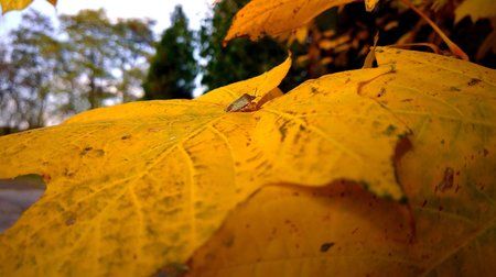 IMG_20161022_133647.jpg