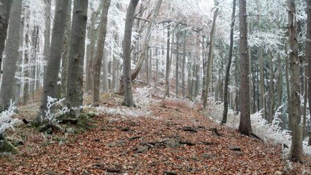 2011-11-23_11-24-16_300.jpg