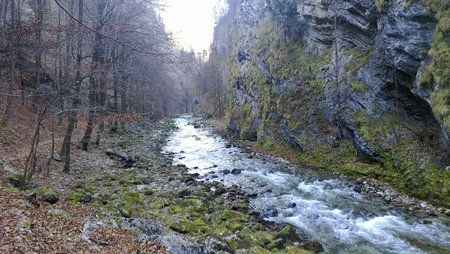 20111119_004.jpg