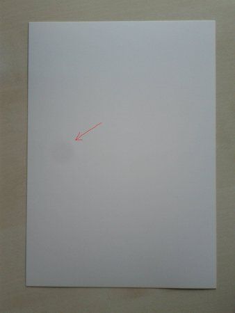 IMG_20111124_110112.jpg