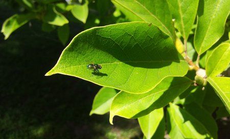 C360_2011-07-16%252015-37-01_org.jpg