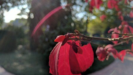 IMG_20161023_120117.jpg