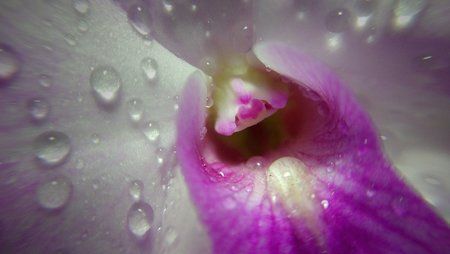 IMG_20161028_132834.jpg