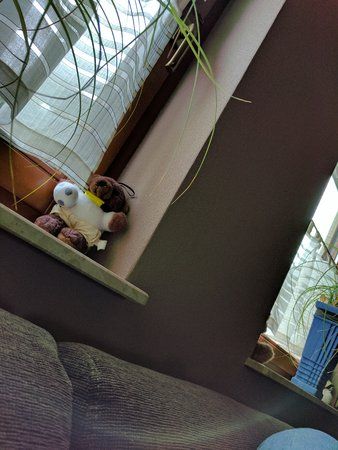IMG_20161026_122615.jpg