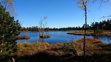 DSC_0034.JPG