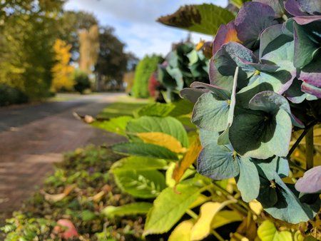 2016-10-29 12.24.47.jpg