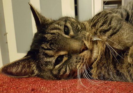 20161101_211858.jpg