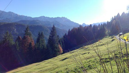 IMG_20161031_134727.jpg
