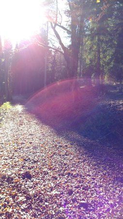 IMG_20161031_131446.jpg