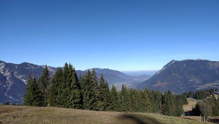 IMG_20161031_124442.jpg