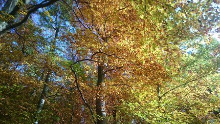DSC_6079.JPG
