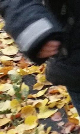B6 - ungewollte Bewegungsunschärfe - trüber Nachmittag.JPG