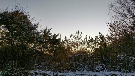 IMG_20161109_073105332_HDR.jpg