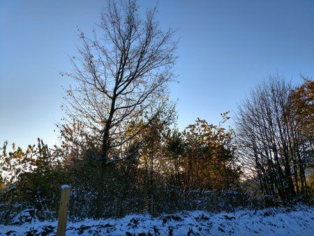 IMG_20161109_085055131_HDR.jpg