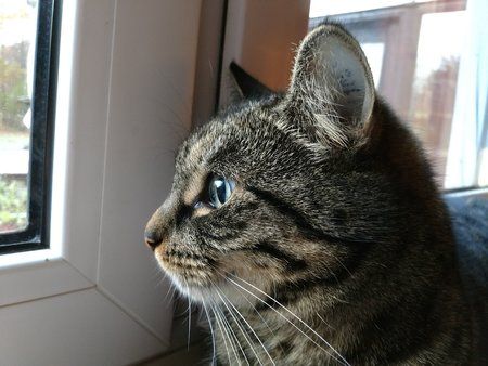 IMG_20161111_073730701.jpg