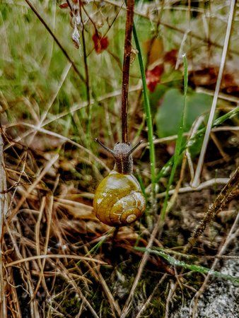 20160917_091848.jpg