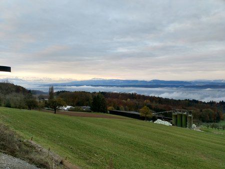 IMG_20161109_073230062_HDR.jpg