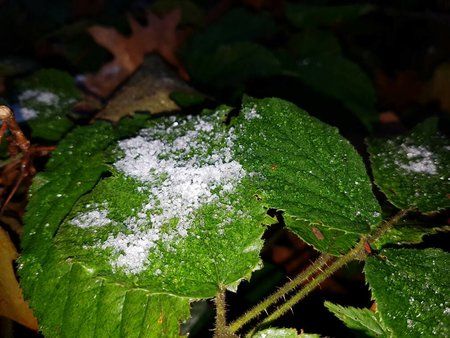 20161109_074107.jpg