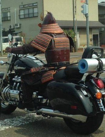 Lopan unterwegs.jpg