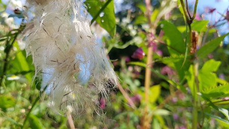 20160909_163838.jpg
