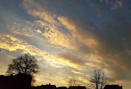 IMG-20161122-WA0001-01.jpeg